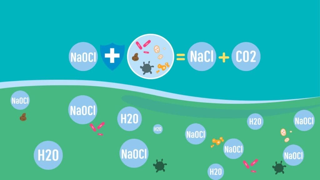 disinfect in the pool