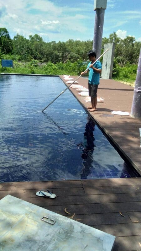 ขัดสระว่ายน้ำ