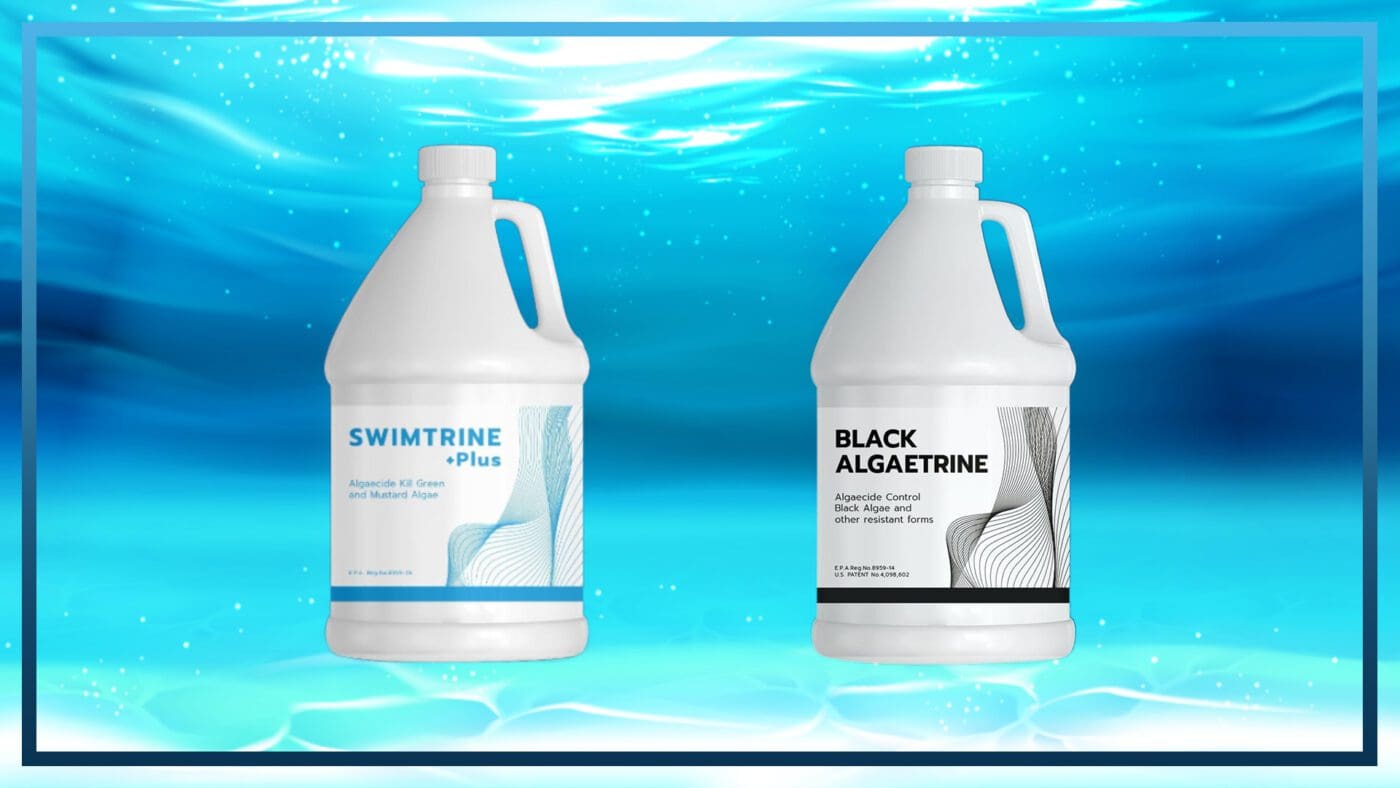 น้ำยากำจัดตะไคร่สระว่ายน้ำ